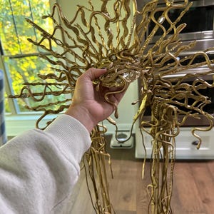 Ashley added a photo of their purchase
