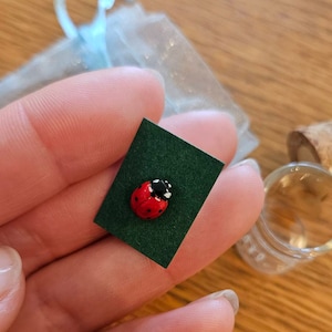 Anna added a photo of their purchase