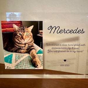 Joel added a photo of their purchase