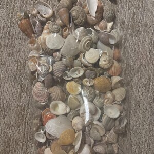 Molly added a photo of their purchase