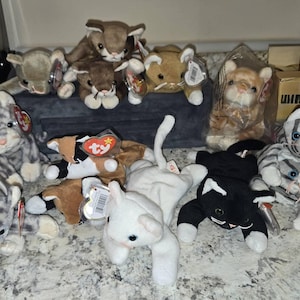 Ty Beanie Babies 最も人気のある猫たち Zip, Flip, Nip, Chip, Snip