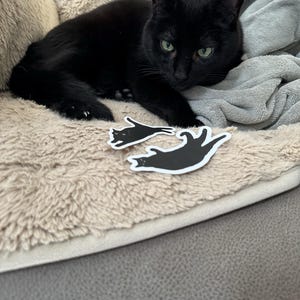 Leslie heeft een foto van de aankoop toegevoegd