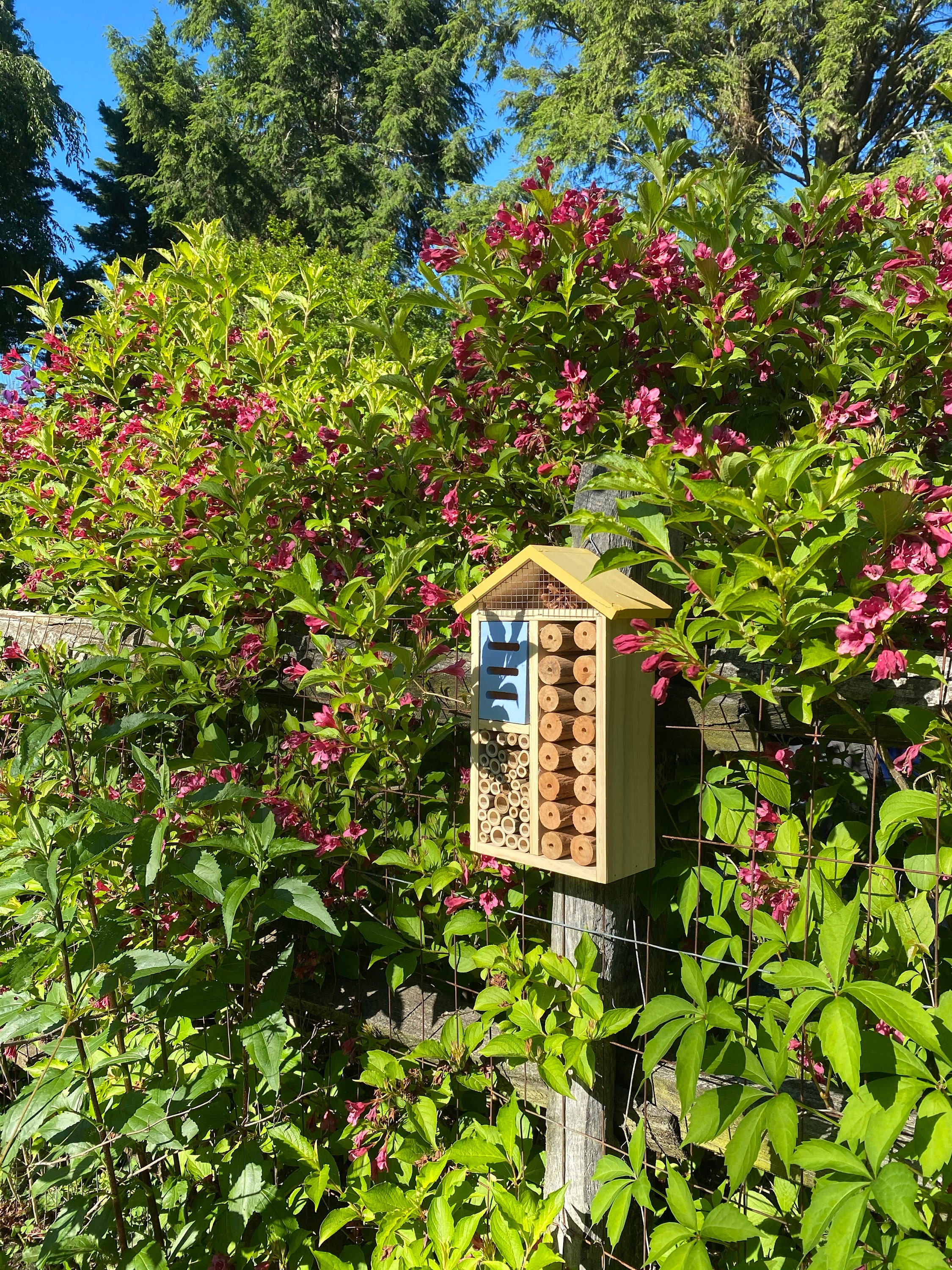 Sunny Pollinator Hotel Mehrzimmerhaus - Blattschneider &amp; Mauerbienen Insektenhabitat Einheimische Gärten Bio-Garten Gärtner Natur Geschenk