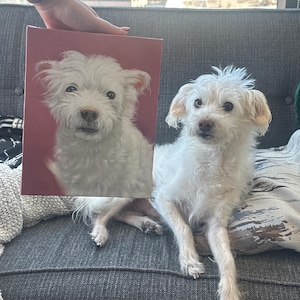Sam added a photo of their purchase