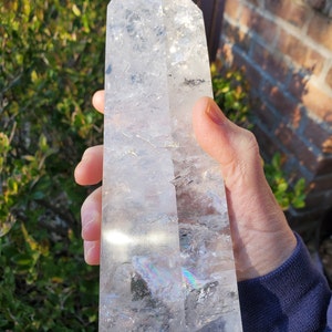 Lynn added a photo of their purchase