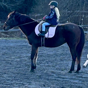 O heeft een foto van de aankoop toegevoegd