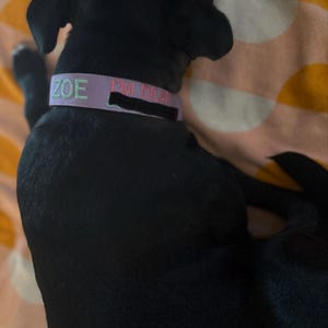 Marcella added a photo of their purchase