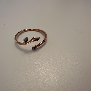 Kristina added a photo of their purchase