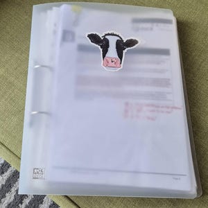Saskia hat ein Foto des gekauften Artikels hinzugefügt