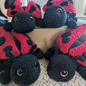 Sue added a photo of their purchase