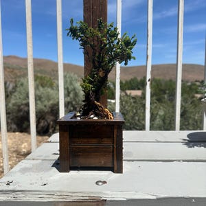 Jerry added a photo of their purchase
