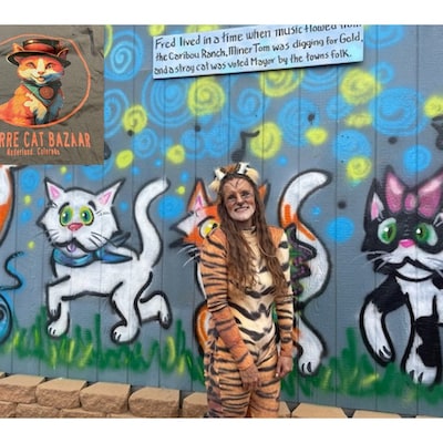 Cats Print Catsuit Spandex Jumpsuit Unitard Bodysuit Full Body - Etsy
