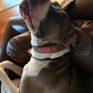 Emily added a photo of their purchase