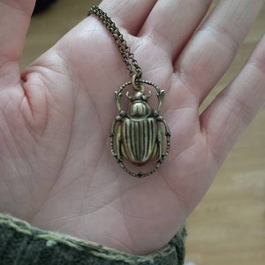 bug added a photo of their purchase