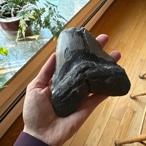 Katherine added a photo of their purchase