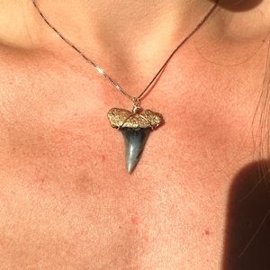 Macie added a photo of their purchase