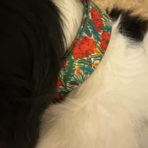 Regina added a photo of their purchase