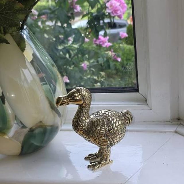 Dodo Bird Bronze 5.5 Inch / 14 Cm, Bronze Figurine, Housewarming