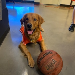 Amanda added a photo of their purchase