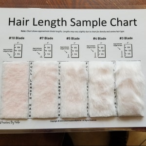 Dog Grooming Hair Length Sample Chart