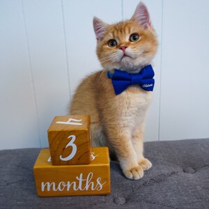 Sarah ha añadido una foto de su compra