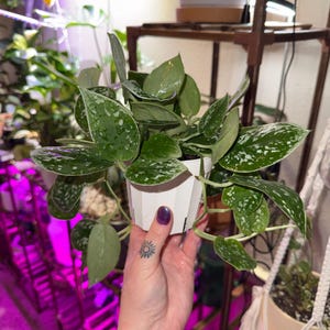 Morgan added a photo of their purchase