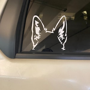 Carmen added a photo of their purchase