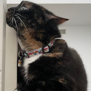 Elena ha añadido una foto de su compra