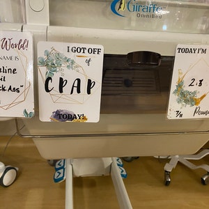 Theresa hat ein Foto des gekauften Artikels hinzugefügt