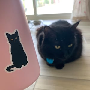 amber added a photo of their purchase