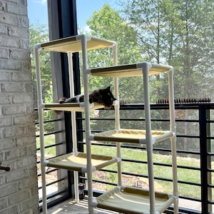 Venesa added a photo of their purchase