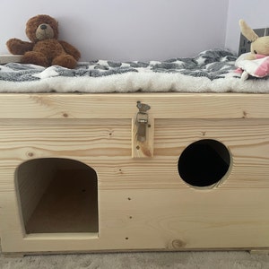 Lucy added a photo of their purchase