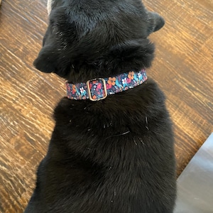 Alison added a photo of their purchase