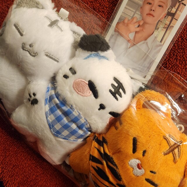 SEVENTEEN　ホシ ぬいぐるみ 10cm HOSHI 호시 SVT SEVENTEEN ホシ ぬいぐるみ 10cm HOSHI - メルカリ