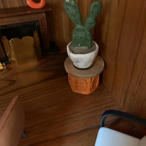 Barbara added a photo of their purchase