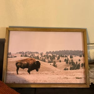 Rachel added a photo of their purchase