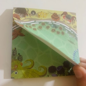 Tordoise added a photo of their purchase