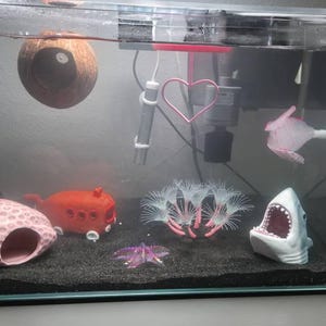 Angela added a photo of their purchase