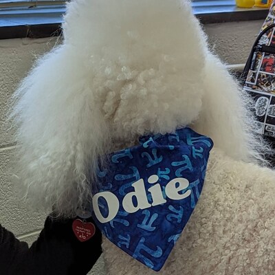 personalised dog bow tie