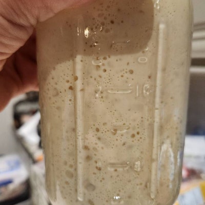 Gluten Free Sourdough Starter Maintained With GF King Arthur - Etsy