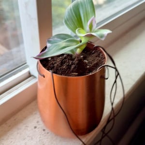 Philip added a photo of their purchase