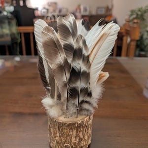 Rachel added a photo of their purchase