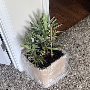 Amir a ajouté une photo de son achat