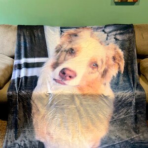 Inactive account added a photo of their purchase