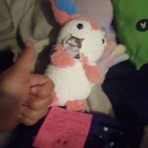 Vale added a photo of their purchase