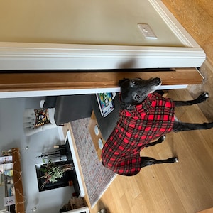 Brenda さんが購入した商品の写真を追加しました