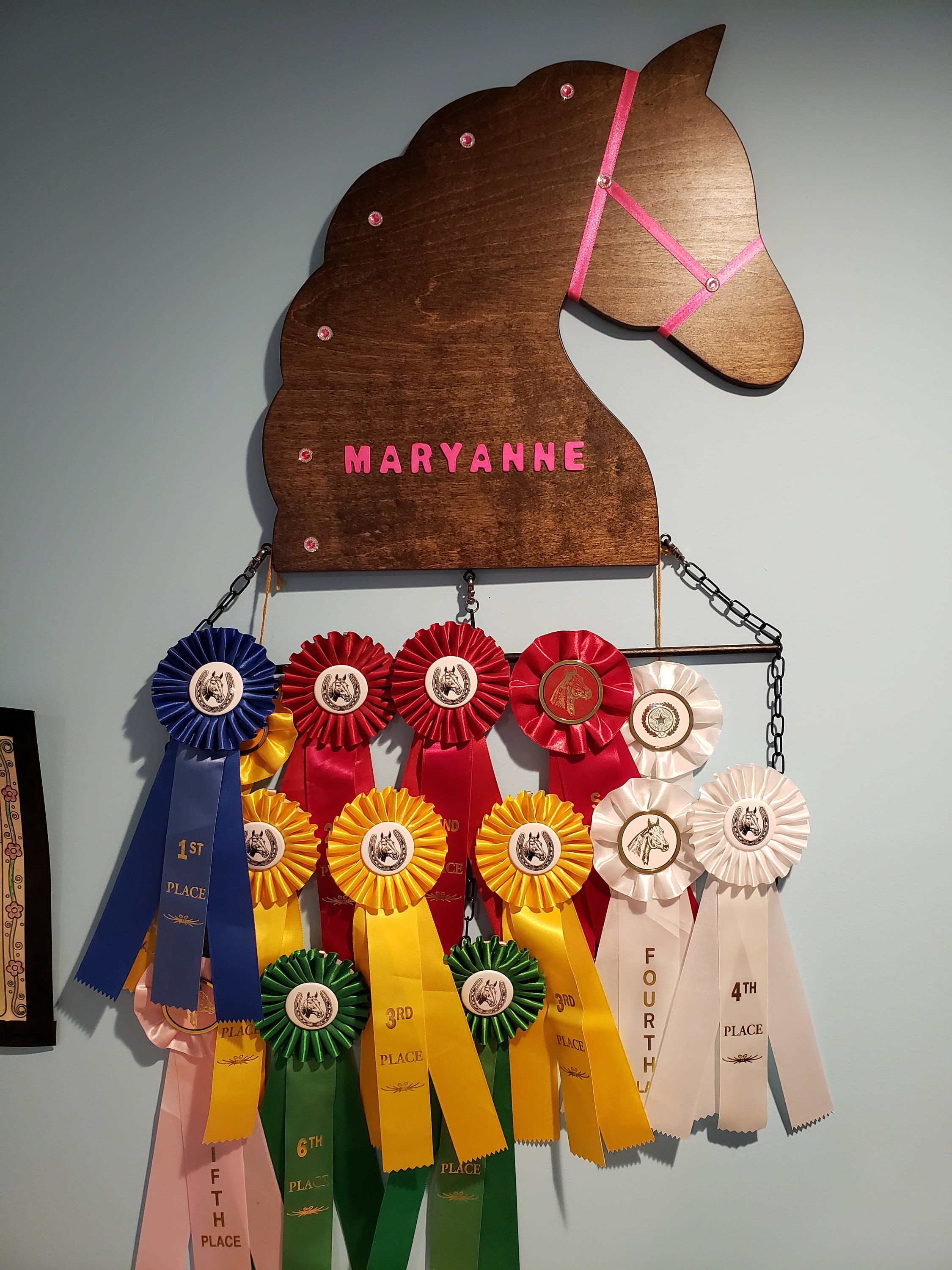 Deluxe Customized Horse Show Ribbon Display/Award 3 Ribbon Etsy