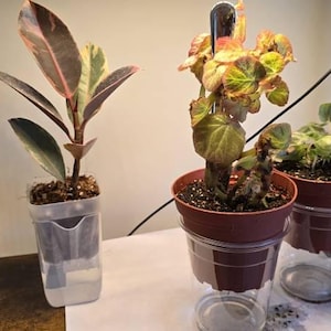 Jessie added a photo of their purchase