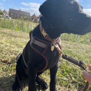 Polly added a photo of their purchase