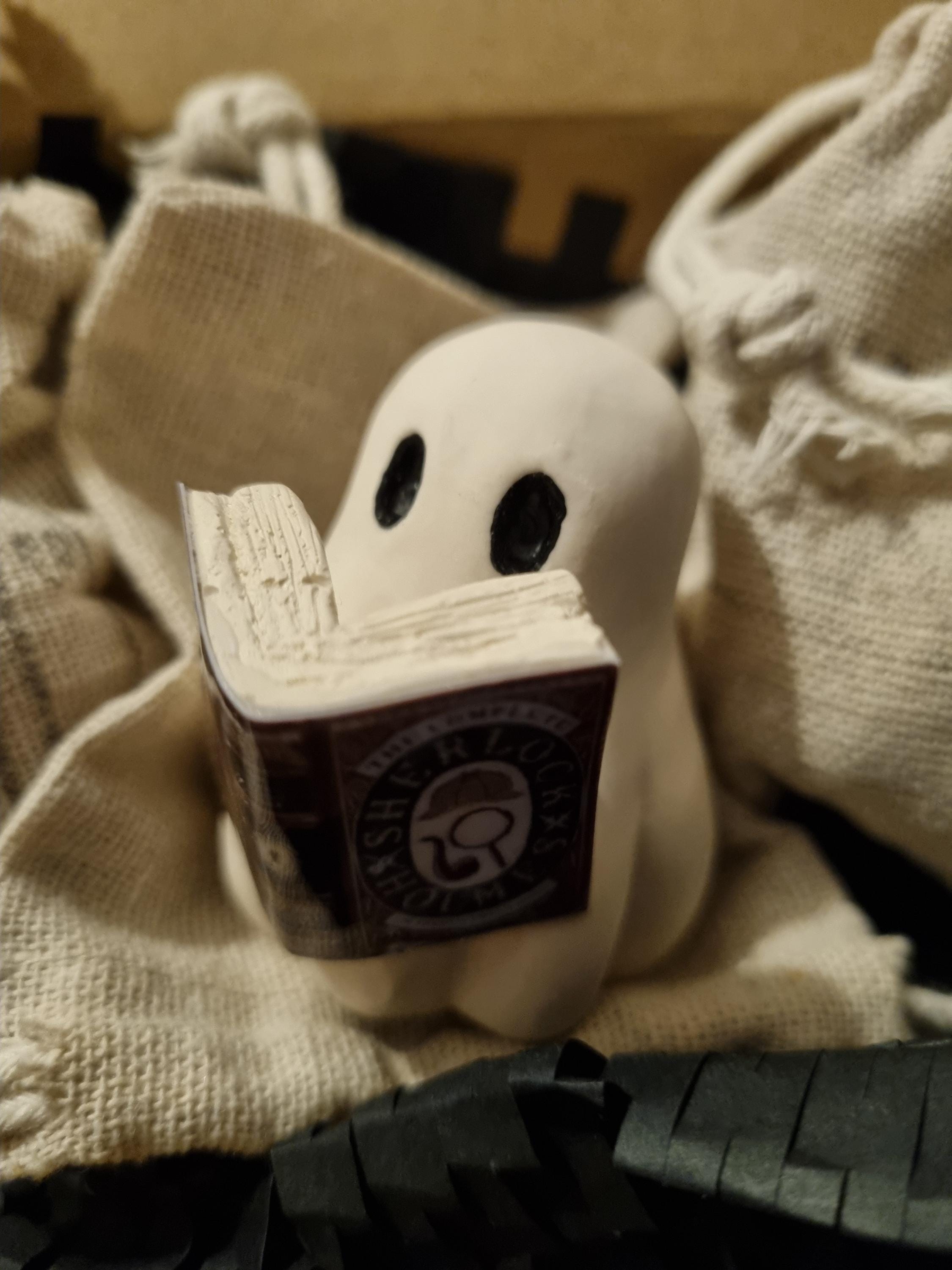 BOOK BOO! Handmade ghost figure reading their favourite book. Bookcase shelf decorations. Giddy Ghost collectable for book lovers and reader